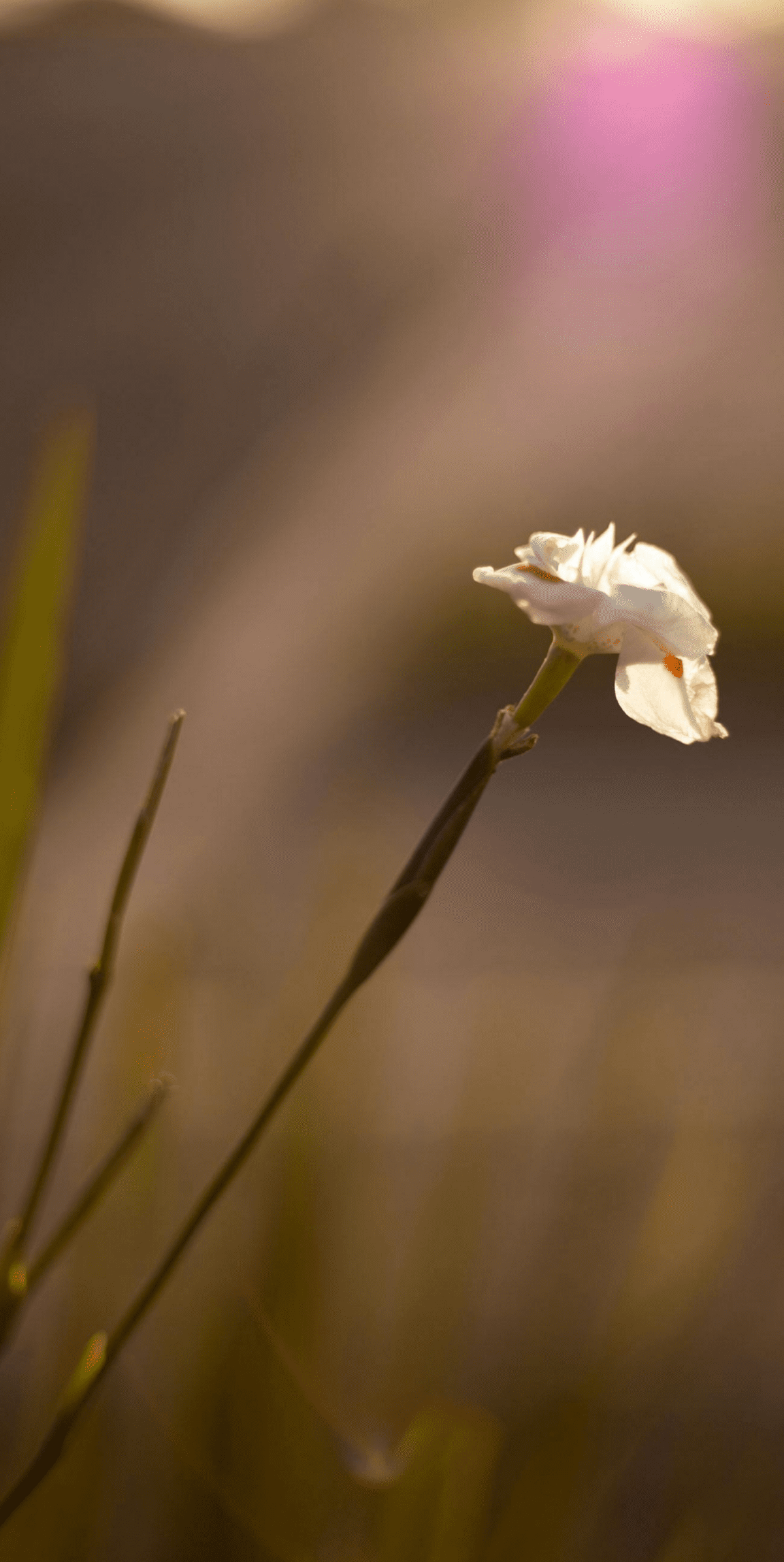 5 scaled e1768646454453